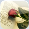 love-poem-generator love-poem-generator