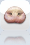 iphone-app-swineflu3.jpg iphone-app-swineflu3.jpg