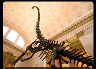 Free iPhone App Museum Explorer Free iPhone App Museum Explorer